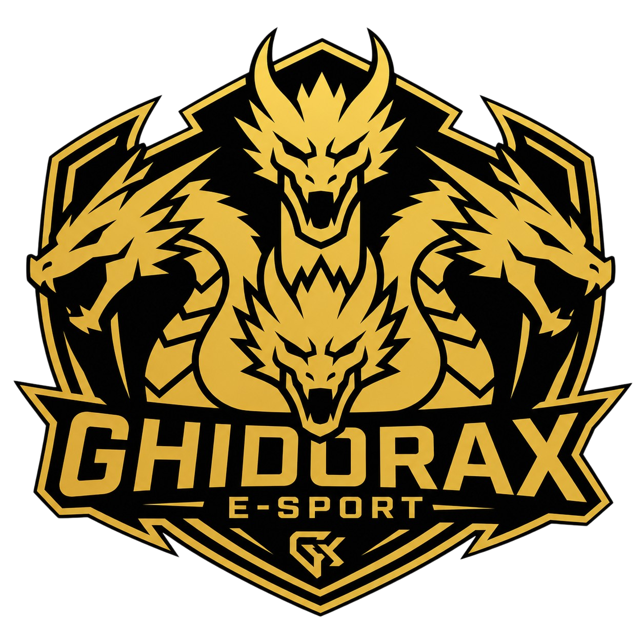 Sponsor Bronze