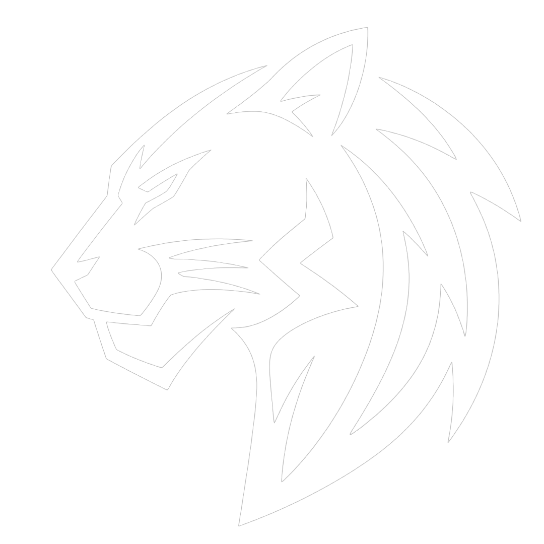 Sponsor Bronze
